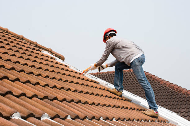 Best Rubber Roofing (EPDM, TPO)  in Iona, ID